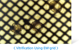 Vitrification Using EM-3grid