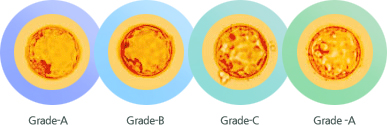 Grade-A, Grade-B, Grade-C, Grade -A